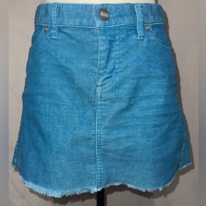 Carve Designs Blue Skater Mini Skirt